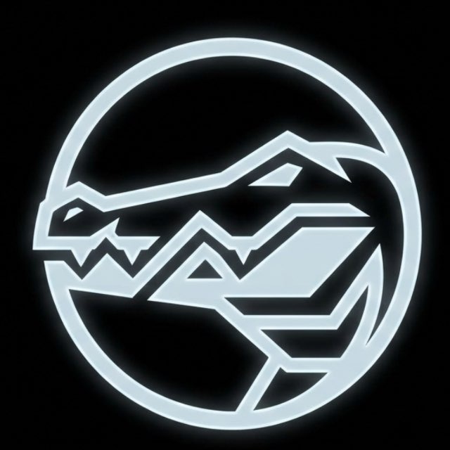 CD Shop (промо, обложки, визуалы…)