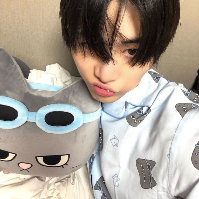 0810 cattae