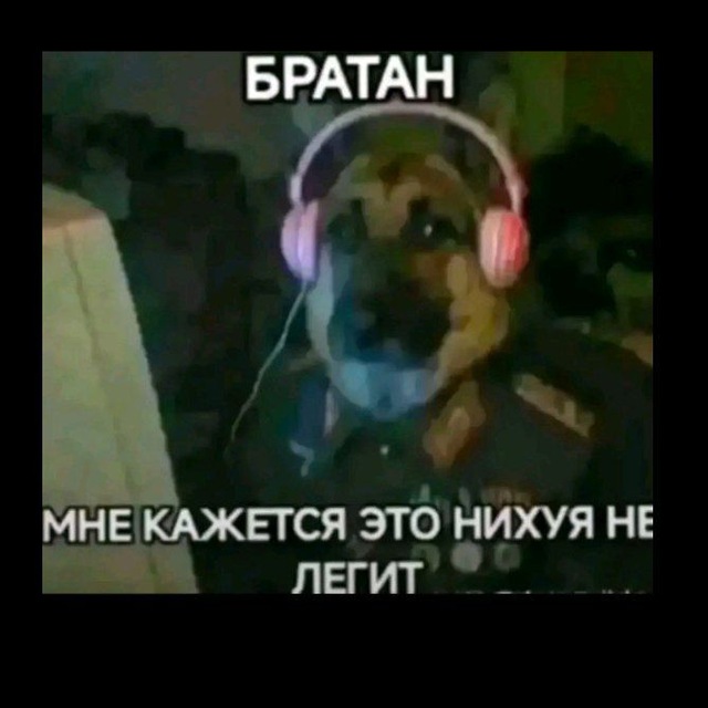 Отзывы salsa