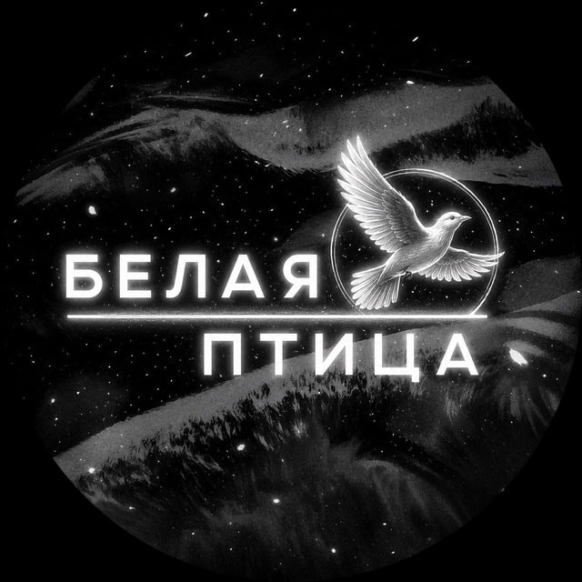 белая птица