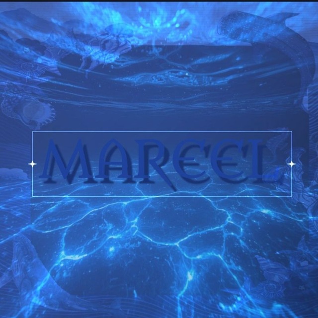 mareel info