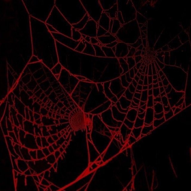 🕸️Liminarium🕸️ info