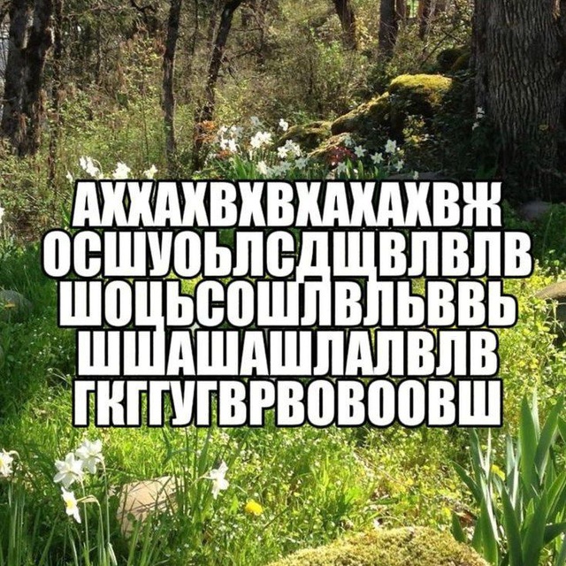 „ОЦЕНИ!“ ОС AvA/AvM CONF