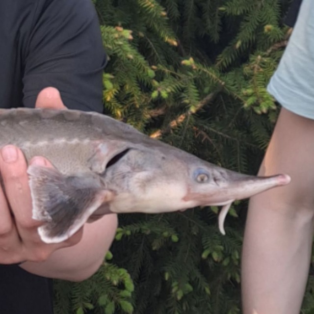 Дневник Рыбалок🐟🫯