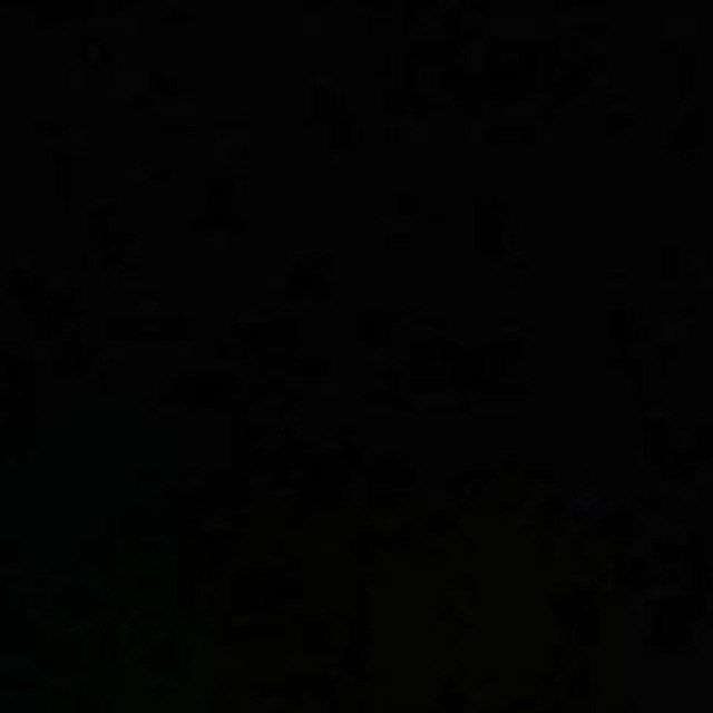 ᅠ ᅠ