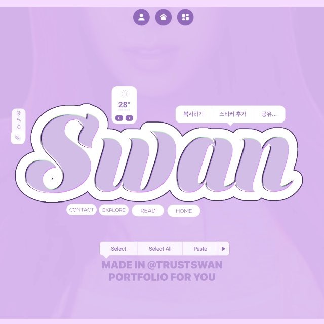 天鹅 ‘ Swan
