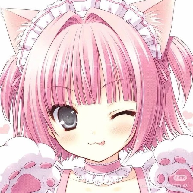 shiromixdd