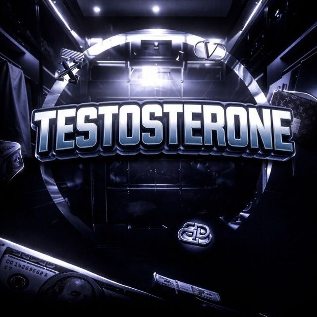 TESTOSTERONE NAVIGATION