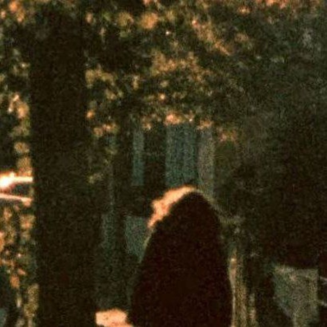 Hiraeth (lengsel etter musikk...)