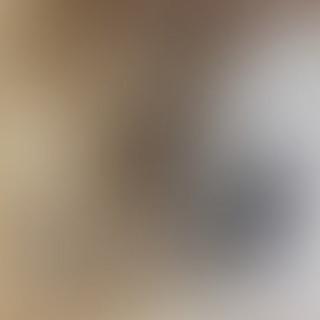 ㅤㅤㅤ