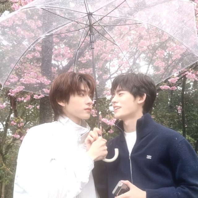 sakura ❀`kiSs