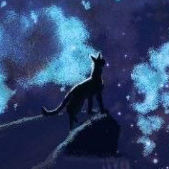 Warrior cats| RP