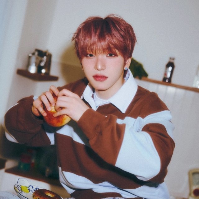 • 𝐜𝐮𝐭𝐢𝐞 𝐩𝐢𝐞 𝐋𝐄𝐄 𝐒𝐄𝐎𝐇𝐎 •