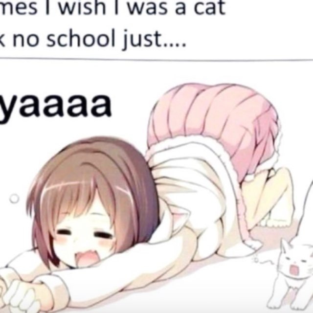 наночка