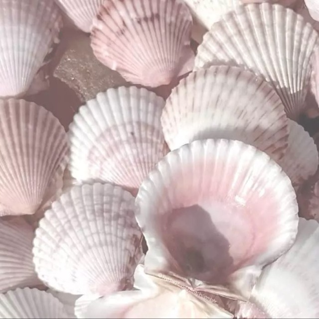 крошка