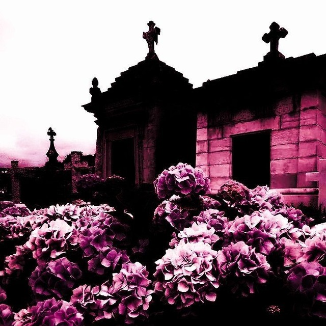 𝐈̲̍𝐍̷̸𝐅̶𝐎̸̚
