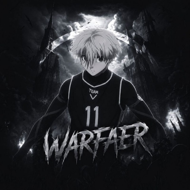 WARFAER ORGANISATION🇷🇺