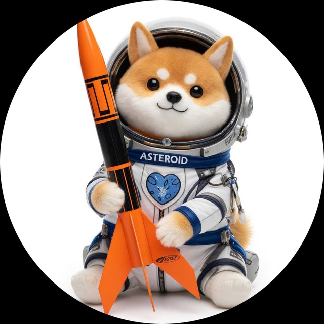 ALPHA3 🐶🚀The Asteroid Shiba Rocket