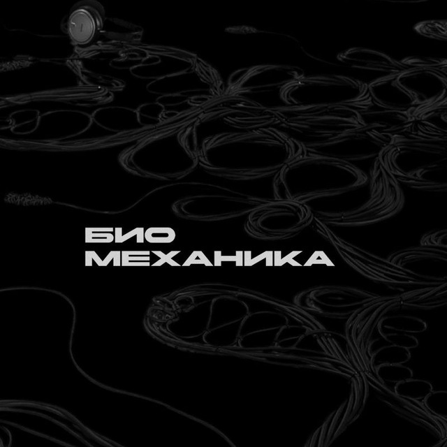 Биомеханика