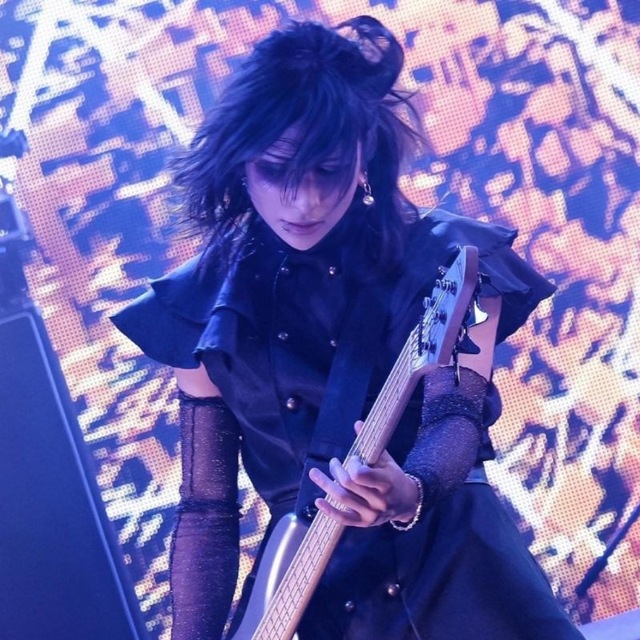 Lily’s Vkei Shop