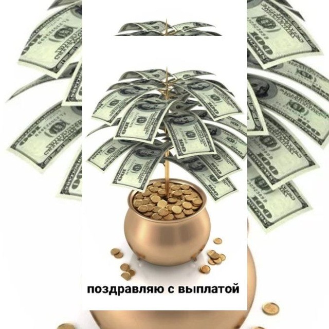Движение и выплаты$$$ команды ВИН ВИН