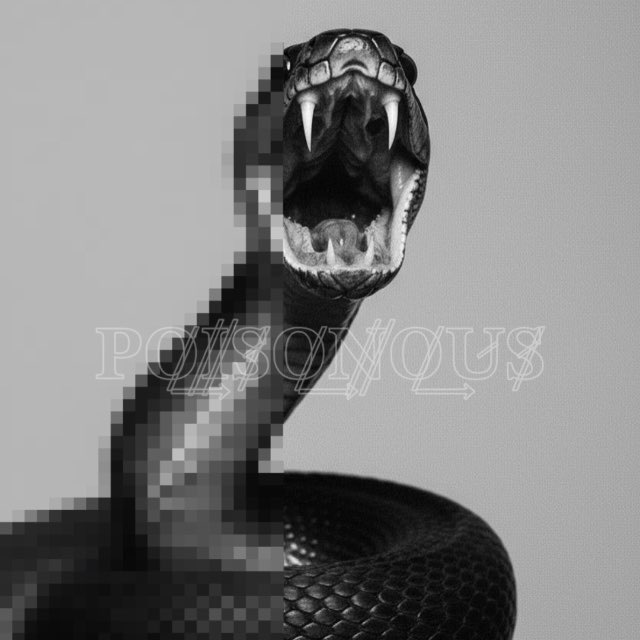 𝐏𝐎̸͢𝐈⃫𝐒̷̸𝐎̸͢𝐍⃫𝐎̸͢𝐔̷𝐒̷̸ channel