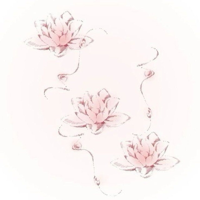 渓谷 Chagaedyu