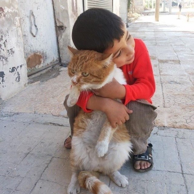 التوبة