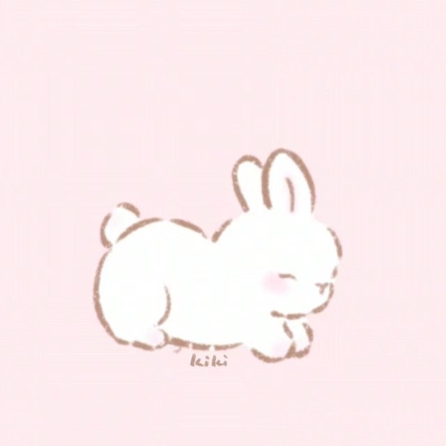 Bunny