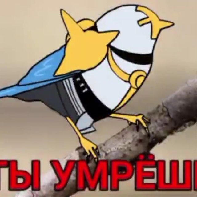 Анальчики админов жкф🤗