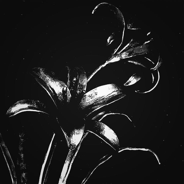 ㅤ