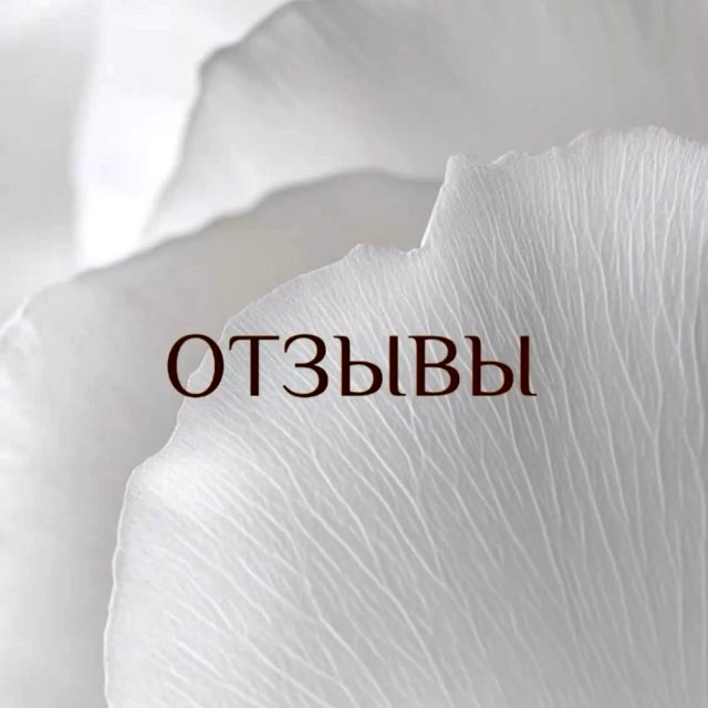 Отзывы